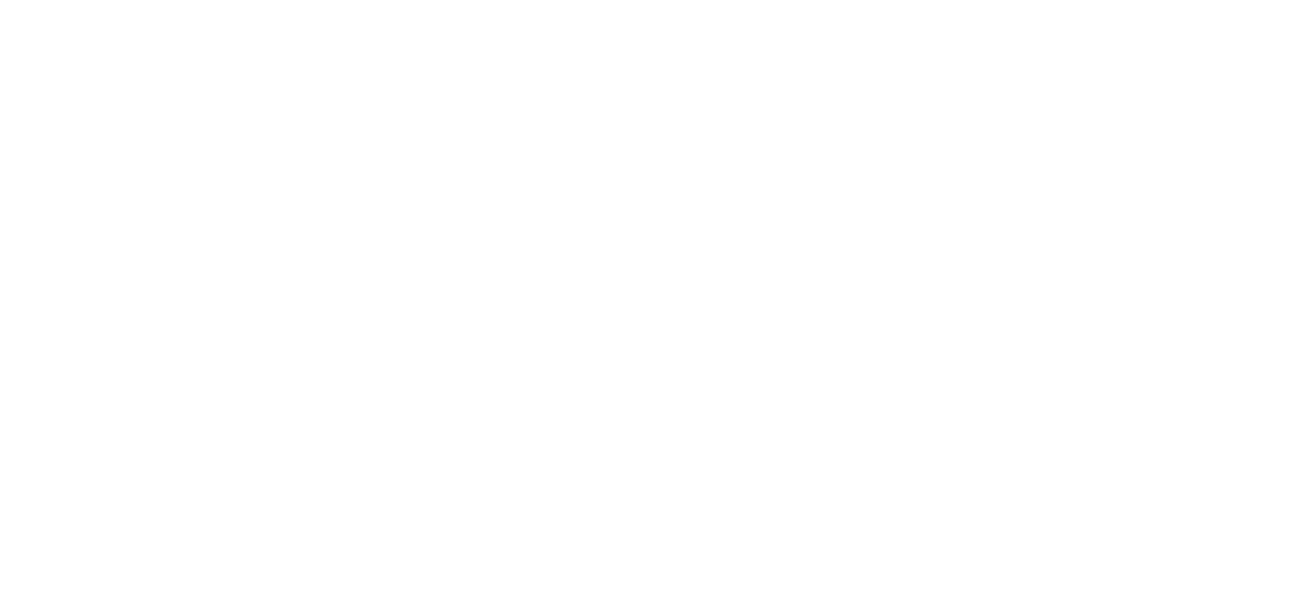 AMMI Enchères